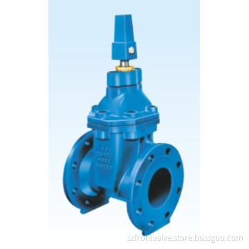 Cast Iron/Ductile Iron Flanged End Gate Valve with Square Head